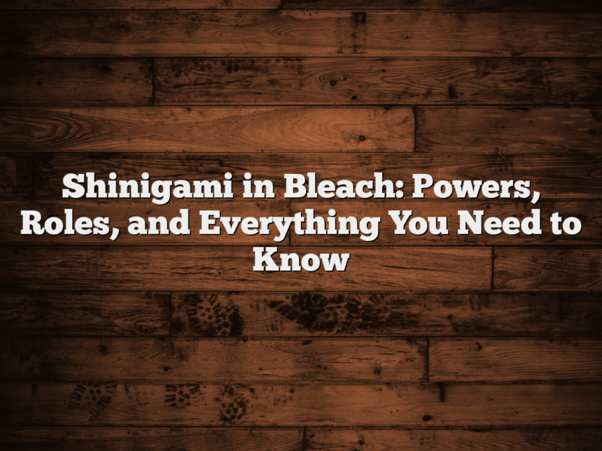 Shinigami in Bleach: Powers, Roles, and Everything You Need to Know
