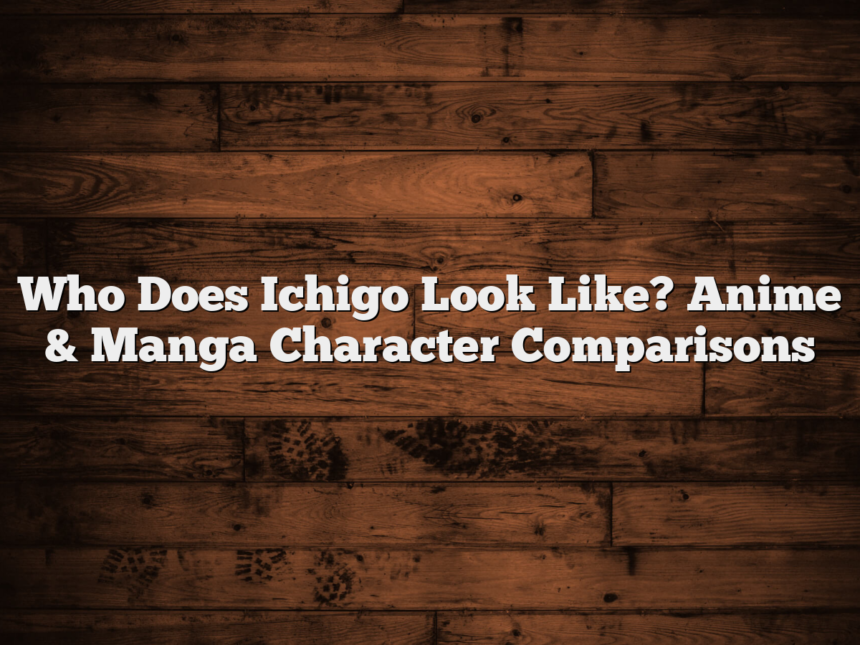 Who Does Ichigo Look Like? Anime & Manga Character Comparisons