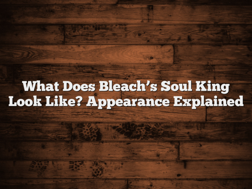 What Does Bleach’s Soul King Look Like? Appearance Explained