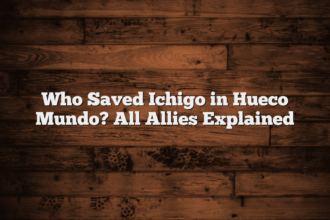 Who Saved Ichigo in Hueco Mundo? All Allies Explained