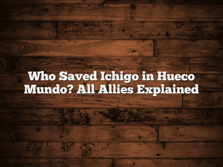 Who Saved Ichigo in Hueco Mundo? All Allies Explained