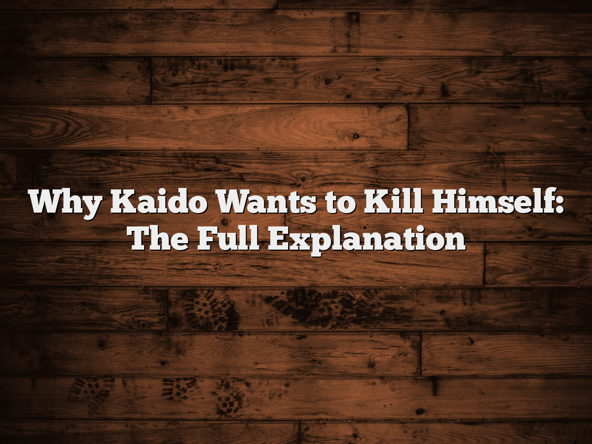 Why Kaido Wants to Kill Himself: The Full Explanation