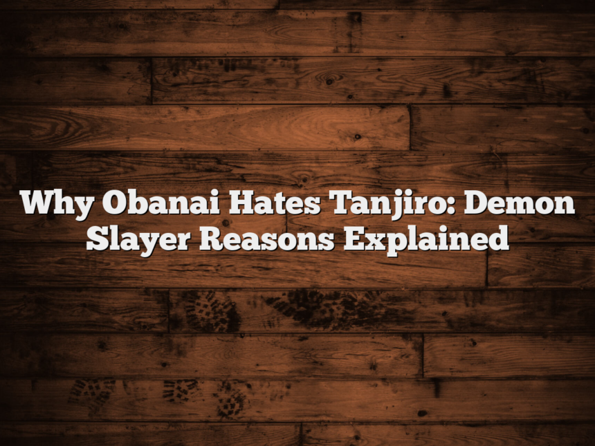Why Obanai Hates Tanjiro: Demon Slayer Reasons Explained