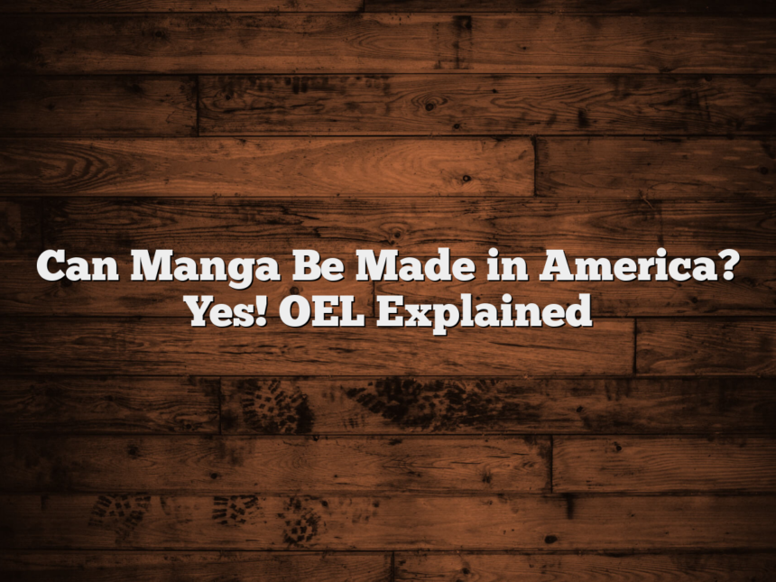 Can Manga Be Made in America? Yes! OEL Explained