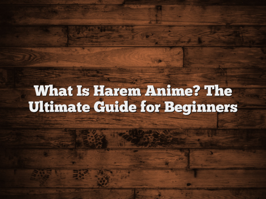 What Is Harem Anime? The Ultimate Guide for Beginners
